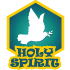 Blue Year – Holy Spirit Pin Award